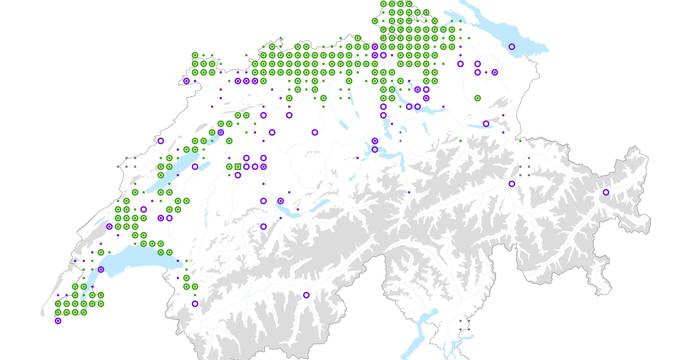 Verbreitung der Elsbeere in der Schweiz (2012)