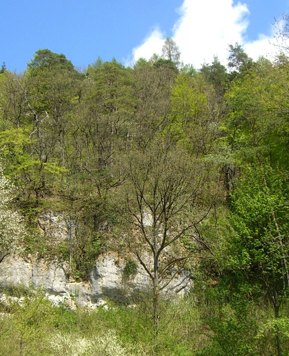 Naturschutzgebiet ​Tüüfels-Chuchi